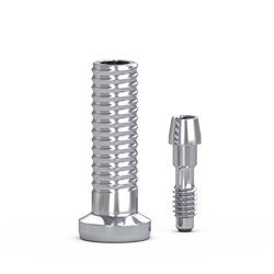 Picture of FlatOne® Abutment Titanium Cylinder, w/ Retaining Screw