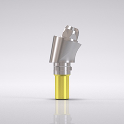 Picture of CAMLOG® Bar abutment Ø 3.8 mm, GH 4.0 mm, 17° [B], sterile