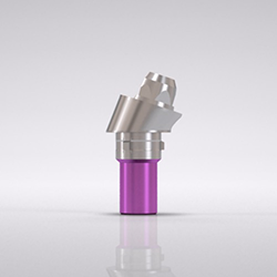 Picture of CAMLOG® Bar abutment, 17° angled, type B, Ø 4.3, GH 2.5, sterile