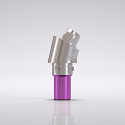 Picture of CAMLOG® Bar abutment Ø 4.3 mm, GH 4.0 mm, 30° [B], sterile