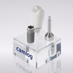Picture of CAMLOG® Macro model incl. tooth [3:1]
