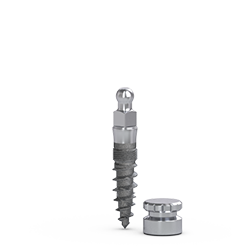 Picture of MDL® ø2.5mm IMPLANT 10mm