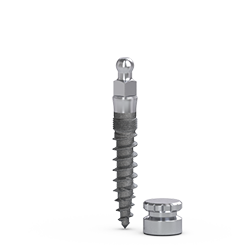 Picture of MDL® ø2.5mm IMPLANT 13mm