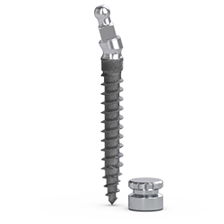 Picture of MDL® 15º Angled IMPLANT, Ø2.5mm x 18mm