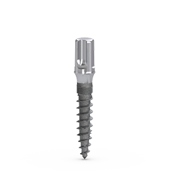 Picture of MDL Abutment Implant Ø2.5 X 13mm