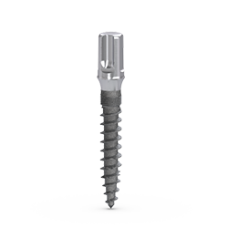 Picture of MDL Abutment Implant Ø2.5 X 15mm