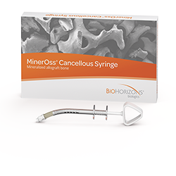 Picture of MinerOss Cancellous Syringe, 0.25cc