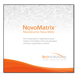 Picture of NovoMatrix Product Brochure