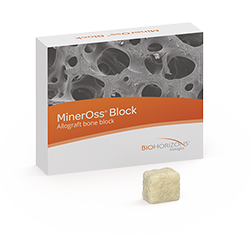 Picture of MinerOss Block Allograft, 15mm (Illium Block, Hydrated)