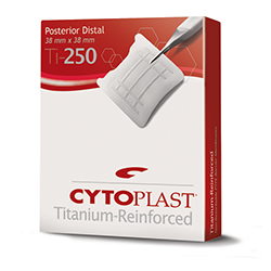 Picture of Cytoplast Ti-250 Posterior Distal 38mmx38mm (box of 2)