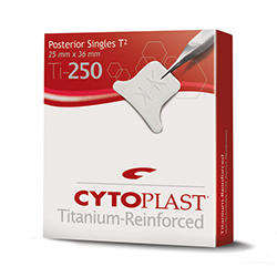 Picture of Cytoplast Ti250 Posterior Singles T2 25x36mm (box of 2)