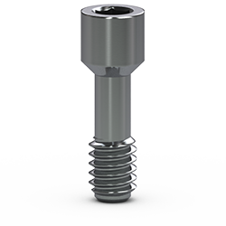 Picture of BioH, Internal Abutment Screw, Silver 25 pack